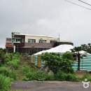 제주 산방산탄산온천 Daum카페