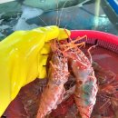 내내농수산 이미지