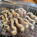 꼼장어 본부