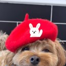 캄그루밍 이미지