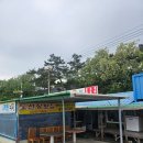 도선장횟집 | [신안] 도선장횟집 ; 신안 압해도 낙지초무침 맛집, 내돈내산 후기