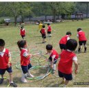 금성초병설유치원 이미지