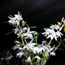 성만농장 이미지