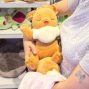 비어드짐(Beard gym) | 2) 오사카에서 일어난 사건