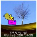 소블리 이미지