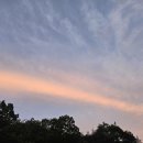 아도농장 이미지