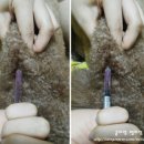 세종온누리약국 이미지