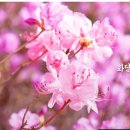 화담 곤지암 펜션 이미지