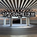 기장 아난티코브 펜트하우스 테라스 풀하우스 A (객실 이용 후기)