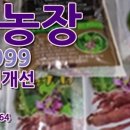 아줌마유통