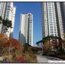 자연앤자이13블럭 이미지