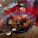 나인바호프 | 9월 블로그