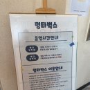 멍타벅스 광주 애견유치원 & 무인 애견카페 | 벚꽃 포토존 광주애견카페 [멍타벅스] 강력추천