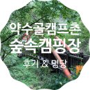 약수골캠프촌 숲속캠핑장 | 양구 약수골캠프촌 숲속캠핑장 명당자리 추천