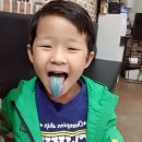 윤자목장 네이버블로그
