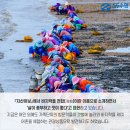 조개사랑수산물 이미지