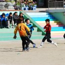 금정초등학교 이미지