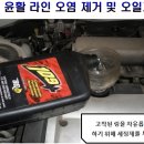 전영카맨샵 이미지