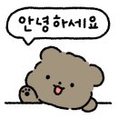 청년정육백화점 이미지