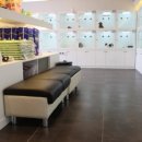 바우애견 이미지