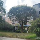 이마트24 한림대점 이미지