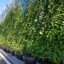 뉴그린환경 이미지