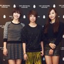 톰그레이하운드현대