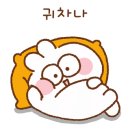 빈도롱이 이미지