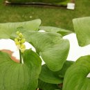 성호초등학교 이미지