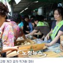 개진감자영농조합법인 이미지