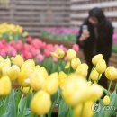 박지호농장 이미지