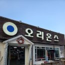 웰리힐리파크 스키강습 추천 시그너리 스키스쿨 초등학생 스키강습