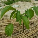 덕곡농장 이미지