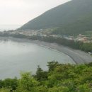 바다의 숲속 이미지