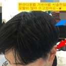 가휘라인 네이버블로그