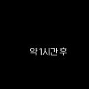 비제이먹방 티스토리