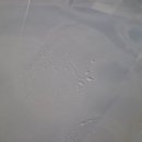 몬스터 손세차 이미지