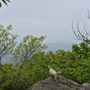 감악산 등산로 입구 | 파주 감악산 (26.05.02) 동광정사 - 감악산 정상