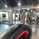 Y멀티짐 이미지