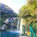 천지연무태장어천지연 | 제주 천지연폭포 야경까지 가능한 서귀포 가볼만한곳 (산책하기 좋은 코스)