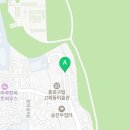 파티큘러 필름