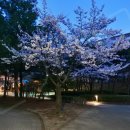 방화근린공원 이미지