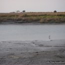 순천만둥지 이미지