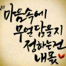 타이어박사 이미지