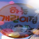 애견보육센터 하늘개린이집 이미지