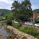 무주민박 이미지