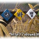 광산구-021 이미지