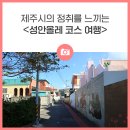 영등신화체육관 | 제주시의 정취를 느끼는 &lt;성안올레 코스 여행&gt;