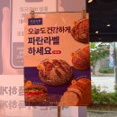 파리바게뜨하남2지구점 | [광주 산정동] 파리바게뜨 하남2지구점, 요즘 핫한 파란라벨 건강빵과 케이크 종류 총정리