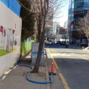 진영메디칼 이미지